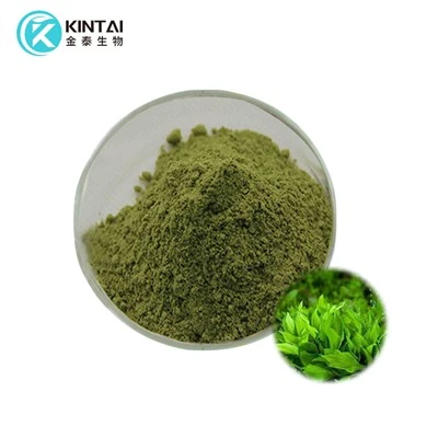 bubuk ekstrak spirulina