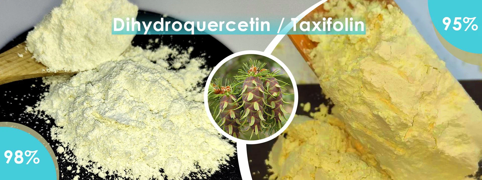 Dihydroquercetin / Taxifolin powder