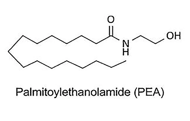 Palmitoylethanolamide Palmitoylethanolamide